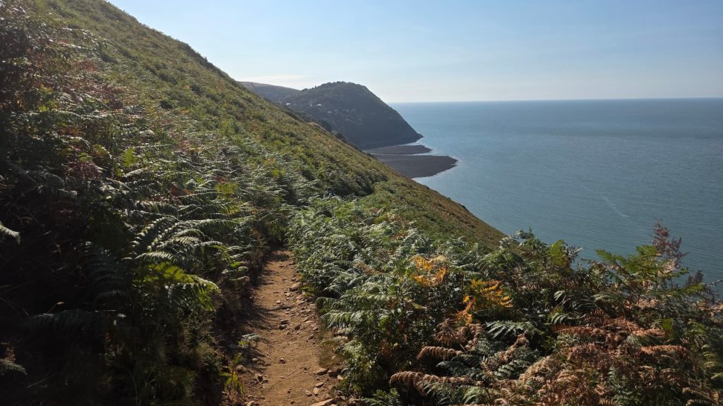 Coastal viewpoint of a rocky trail leading along a cliff line surrounded by dense foliage and a sea view to the right-hand side.