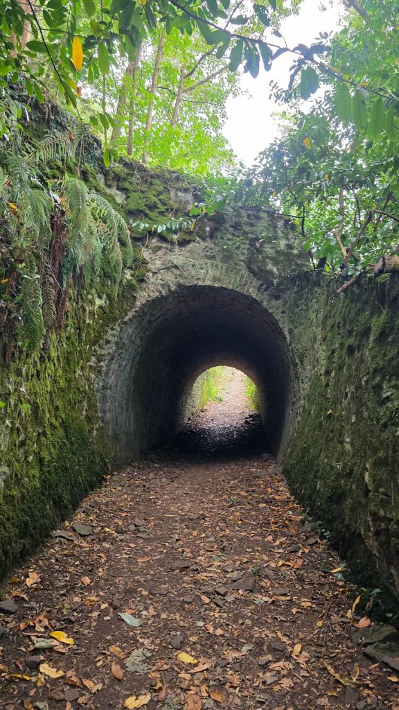A short stone tunnel on the Porlock to Lynmouth Coastal Walk in Devon.